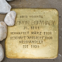 Salomon Bonyhady